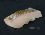 オキアジの焼霜造り