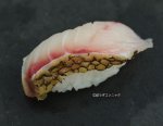 ナミフエダイの焼霜造り握り