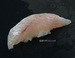 ナガオオメハタの握り