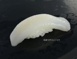ヤリイカの握り