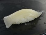 ヤリイカ耳の握り