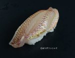 タマガシラの焼霜造り握り