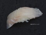 オオモンハタの握り