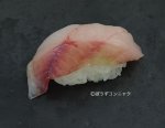 ウケグチメバルの握り