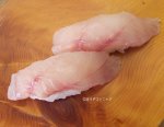 カタボシアカメバルの握り