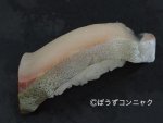 養殖シマアジの握り