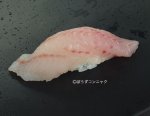 トゴットメバルの握り