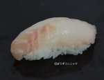 シマゾイの握り