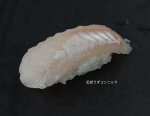 ユメカサゴの握り