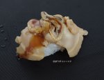 煮はま