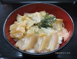 白貝丼