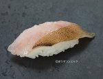 クジメの焼霜造り握り