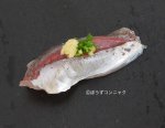 マアジの腹身