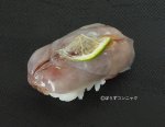 生ホタルイカの握り
