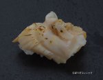 アラスジサラガイのあぶり握り