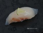 アオダイの握り