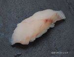 オニヒゲの握り