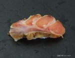 マカジキ砂ずりあぶり握り