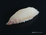 ホウセキハタの握り
