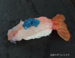 アカザエビの握り