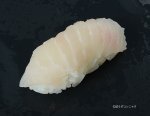 アカハタモドキの握り