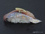 イトヨリの酢じめ握り