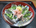 しこいわしのあぶり丼