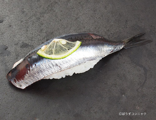 いわし あじ 寿司 大阪湾 鰯の握り 真いわし の握り寿司 もう最高 魚屋三代目日記