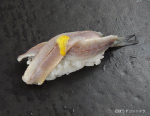 カタクチイワシ (セグロイワシ) | 市場魚貝類図鑑