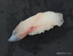 アオハタの握り