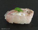 タチウオのあぶり