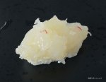 ハコエビ生にぎり