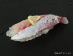 コショウダイの握り