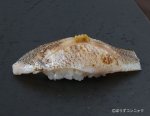 トモメヒカリのあぶり握り
