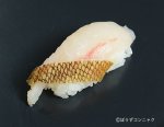 オウゴンムラソイの焼霜造り握り