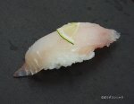 イタチウオの昆布締め握り