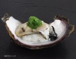 イワガキの握り