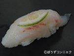 トウジンの握り塩とスダチで