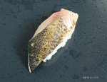 カタボシイワシの焼霜造り