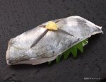 イトヒキアジの酢じめ握り