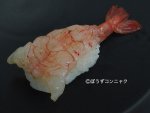 ダッマエビの握り