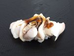 煮はまぐり