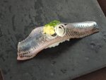 入梅いわしの握り