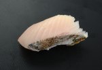 サワラ焼霜造り