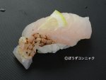 イラの焼霜造り