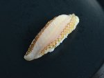 ホシササノハベラの焼霜造り握り