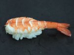 ヨシエビの握り