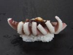 シリヤケイカのげそ握り