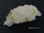 おおばうちわえびのあぶり