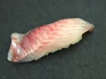 カゴカキダイの握り